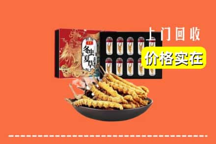 定襄县回收虫草